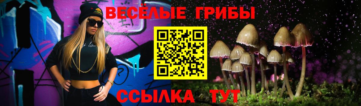 Великий Новгород  Псилоцибиновые грибы Magic Shrooms  купить наркотик  Вход с VPN 